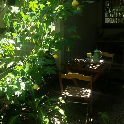 desdelima's profile picture. 