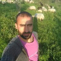 Murat Çetin (@muratet33383164) 's Twitter Profile