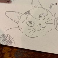 ミコト（あ） (@omnfp) Twitter profile photo