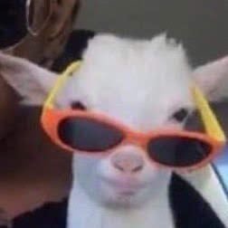 iamdiegoxd's profile picture. Quan isc a buscar l'alegria, no se per què acabe sempre en el teu carrer