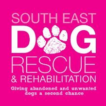 South East Dog Rescue's future is under threat after 11 years of saving dogs' lives. Please help us secure its future! https://t.co/JW1UC9rdwv