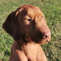 Kevin (@kevin_d_rule) 's Twitter Profile