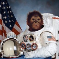 Nick (@orphansloth) 's Twitter Profile Photo Nick (@orphansloth) 's Twitter Profile Photo