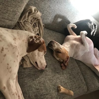 jucara_1's profile picture. arquitectos Juan Carlos Ramirez