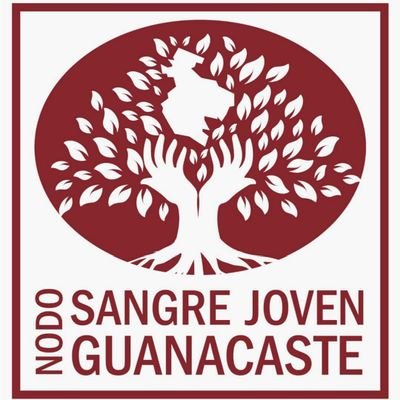Sangre Joven, Guanacaste es la Red de Jóvenes Rurales de la Región Chorotega.

Somos jóvenes empoderados, dispuestos a cambiar el día con día.

¡Sentite Parte!