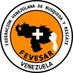 FEVESAR CAPITAL (@FEVESARCAPITAL) Twitter profile photo