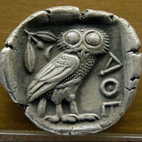 xyztnn's profile picture. 