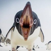 Julián Ros (@julirosm) 's Twitter Profile
