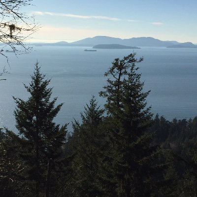 SatisfiedSoul2's profile picture. 