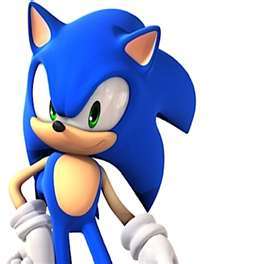 The name's Sonic, Sonic the hedgehog!