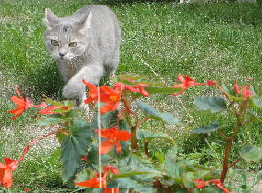 Paysanne le weekend, Citadine en semaine, je me passionne pour le #jardinage du potager au verger et enfin, le plaisir de #voyager