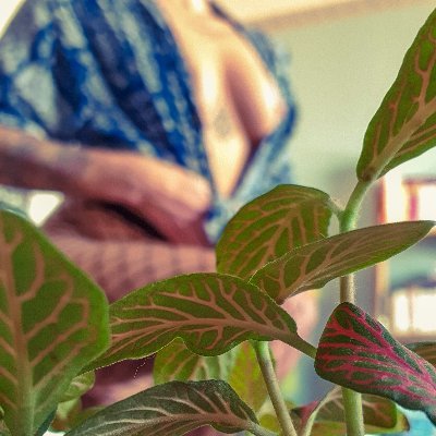 Lilaseck31's profile picture. #NSFW 🌡️ 
SWkeur
Sxothérapxte