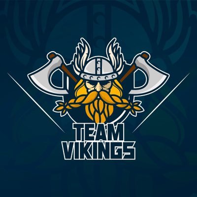 Team Vikings Chile