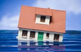 Brunettesrcool's profile picture. I lost money in 2008, never again.