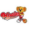 koalas_1956's profile picture. Wリーグに所属する三菱電機コアラーズの公式Xアカウントです🏀 お問い合わせは公式ホームページからお願いします📮※画像、動画の二次利用および無断転載は禁止とさせていただきます。 #コアラーズ #三菱電機 #Wリーグ