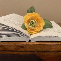 I. Rodarte (@gemsbooktique) 's Twitter Profile Photo I. Rodarte (@gemsbooktique) 's Twitter Profile Photo