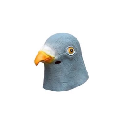 paakaa_kiruo's profile picture. @RN_taxman @bikkuri_satan