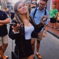 isabella ♲ (@isabellakeeley) 's Twitter Profile Photo