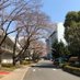 Social Value Decision Making Lab (@decision_tokyo) Twitter profile photo Social Value Decision Making Lab (@decision_tokyo) Twitter profile photo