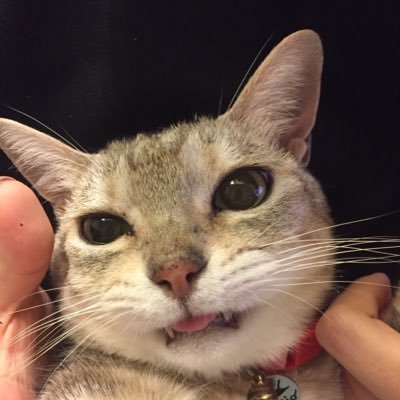 AiIes7's profile picture. 