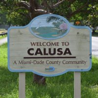 Save Calusa(@savecalusa) 's Twitter Profile Photo