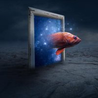Goldfish Fantasy (@goldfishfantasy) 's Twitter Profile