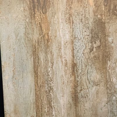 baderot's profile picture. 