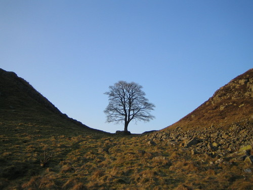 RobinPhilp's profile picture. 