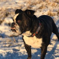 George Tita (@tanaro1) 's Twitter Profile