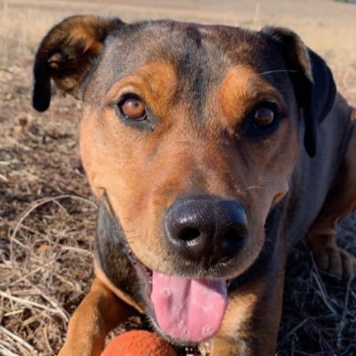 faithmc11's profile picture. •LOVE MORE ••⚡️•• CHOOSE HAPPINESS ✨