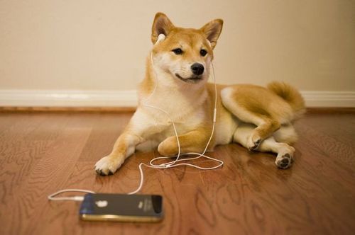 MichaSanto's profile picture. 