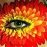 yakatak24's profile picture. 