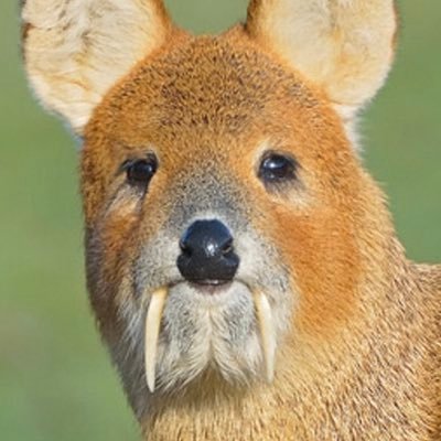 Austin13864180's profile picture. Football Only Account