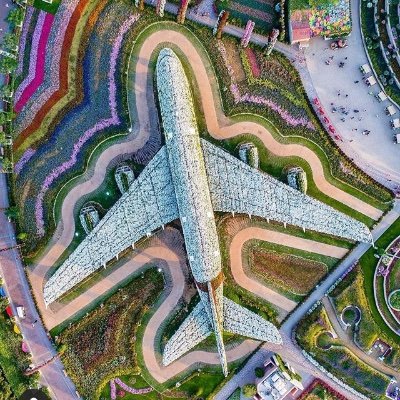 BolsaSed's profile picture. 