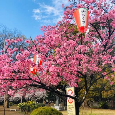 eKFxM8F77n4y9yq's profile picture. 美食 體育 科學
