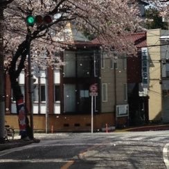 Chiba_itnl_acad's profile picture. Chiba International Academy / learn Japanese🇯🇵 / Japanese language school