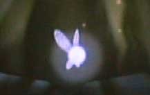 o_Navi_bot's profile picture. ゼルダの伝説 時のオカリナのナビィの非公式botです。30分に1回、作中や姫川明さんの漫画の台詞、オリジナルの台詞を呟きます。TLの呟きにも反応しますので、鬱陶しく感じたらお手数ですがブロックをお願いします。また、何かお気付きの点が御座いましたらDMでお知らせください。