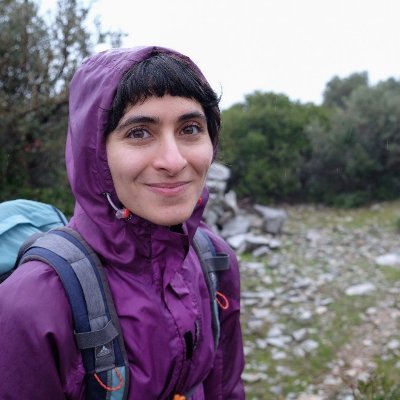 tsoupidi's profile picture. PhD student @KTHUniversity, interested in Language-based Security, Combinatorial optimization