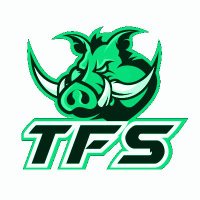 Torrelodones Fútbol Sala (@torrelodonesfs) 's Twitter Profile