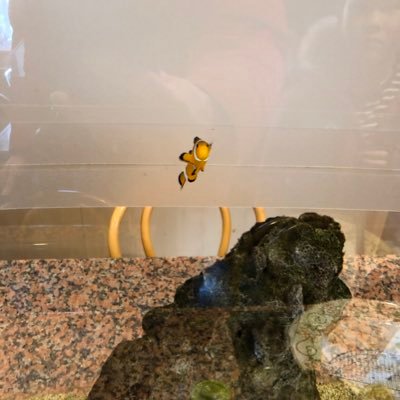 beachboys0728's profile picture. 