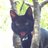 innominata_8's profile image