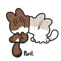 올드뉴비 (@oldnewbie_cat) 's Twitter Profile