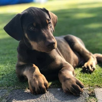 JamesHynd5's profile picture. 