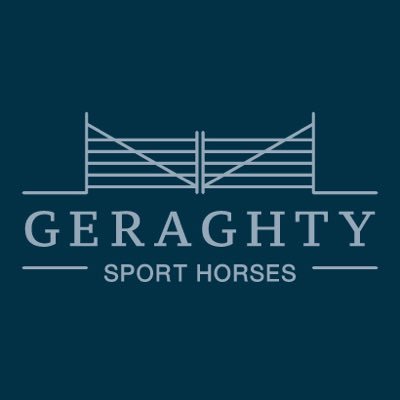 🐴We produce high quality #irishsporthorses
🌍For sale in Ireland & worldwide
🦄Eventing, Hunters & Connies
📲See link in Bio #geraghtysporthorses