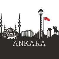 Ankara (@bizangaraliyiz) Twitter profile photo