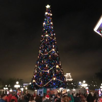 divtreeinvestor's profile picture. divinvestor
