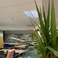 Newstead Wood Library(@NWSLibrary) 's Twitter Profile Photo