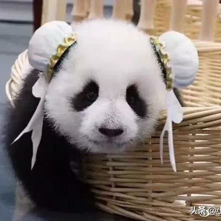 chong18733529's profile picture. IN ShenZhen &welcome