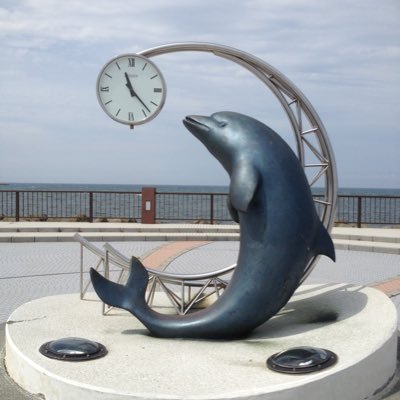 baku_dolphin's profile picture. 帰任しました！
