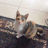 Jane McGrath (@janiemac12) 's Twitter Profile